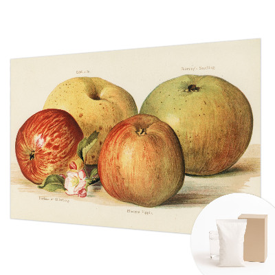 Décoration murale panoramique intissé Jabloňové kvety