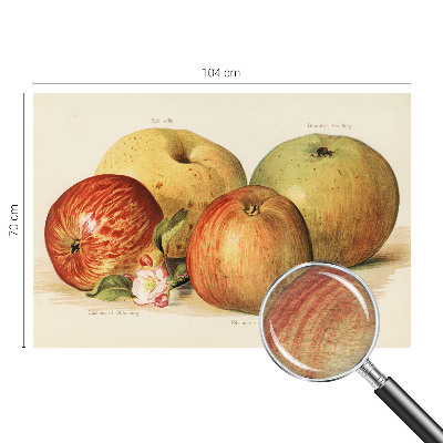 Décoration murale panoramique intissé Jabloňové kvety