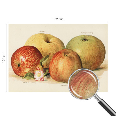 Décoration murale panoramique intissé Jabloňové kvety