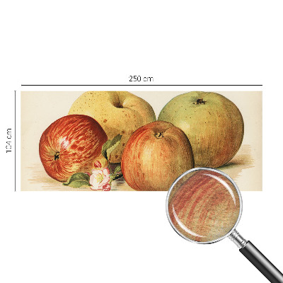 Décoration murale panoramique intissé avec motif de fleurs de pommier