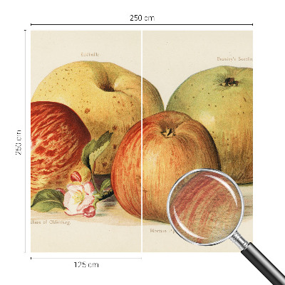 Décoration murale panoramique intissé Jabloňové kvety