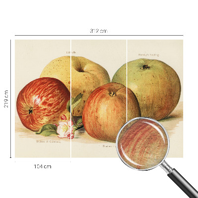 Décoration murale panoramique intissé Jabloňové kvety