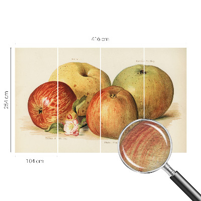 Décoration murale panoramique intissé Jabloňové kvety