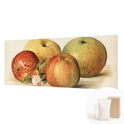 Décoration murale panoramique intissé Jabloňové kvety