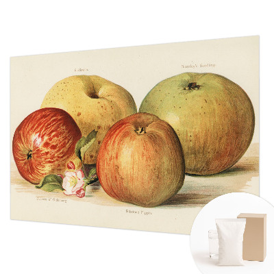 Décoration murale panoramique intissé Jabloňové kvety