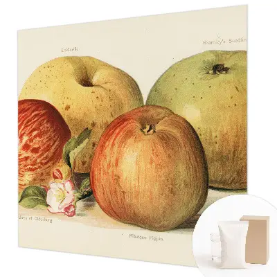 Papier peint intissé fleurs de pommier