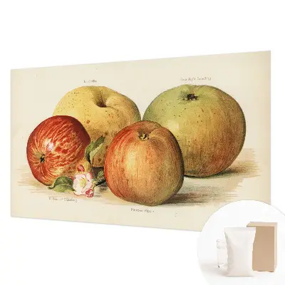 Papier peint intissé fleurs de pommier