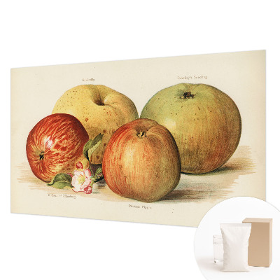 Décoration murale panoramique intissé Jabloňové kvety