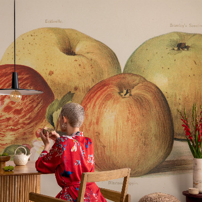 Décoration murale panoramique intissé Jabloňové kvety