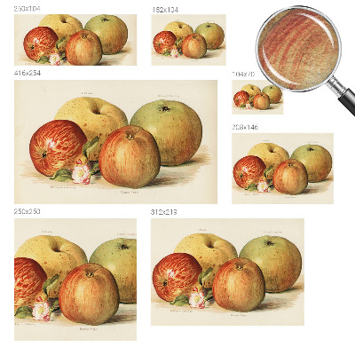 Décoration murale panoramique intissé Jabloňové kvety