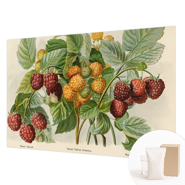 Poster mural panoramique avec un motif de framboises classiques