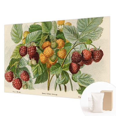 Poster mural panoramique avec un motif de framboises classiques