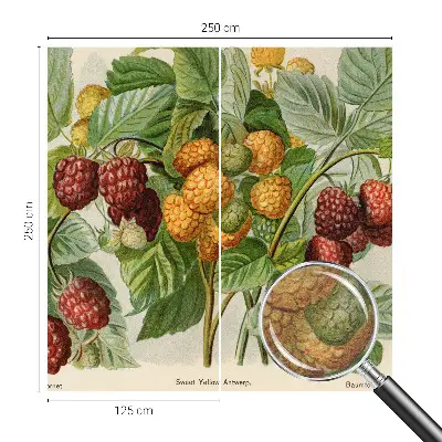 Papier peint photo grand format pour le mur framboises classiques
