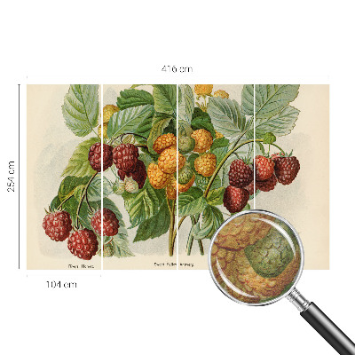 Poster mural panoramique avec un motif de framboises classiques