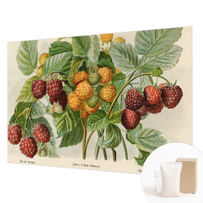 Poster mural panoramique avec un motif de framboises classiques