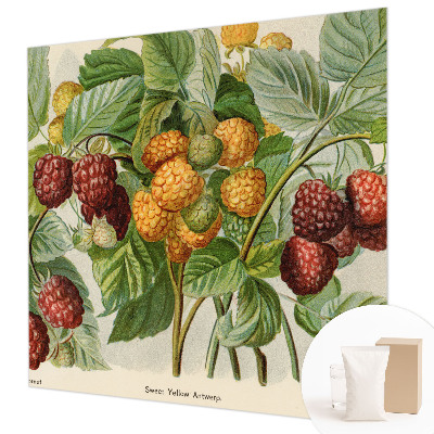 Poster mural panoramique avec un motif de framboises classiques