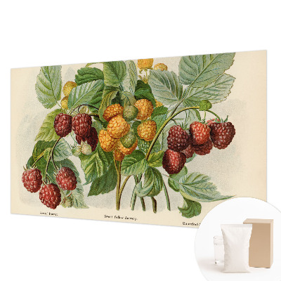 Poster mural panoramique avec un motif de framboises classiques