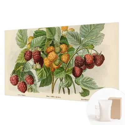 Papier peint photo grand format pour le mur framboises classiques