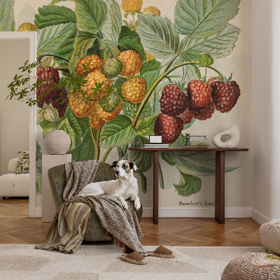 Poster mural panoramique avec un motif de framboises classiques