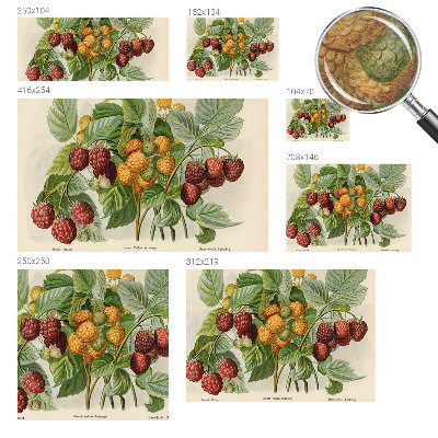 Poster mural panoramique Klasické maliny