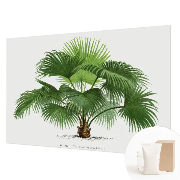 Papier peint intissé imprimé palmier exotique
