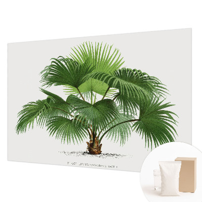 Papier peint panoramique tendance avec un motif de palmier exotique