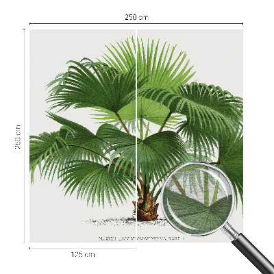 Papier peint panoramique tendance avec un motif de palmier exotique