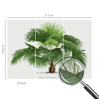 Papier peint panoramique tendance avec un motif de palmier exotique