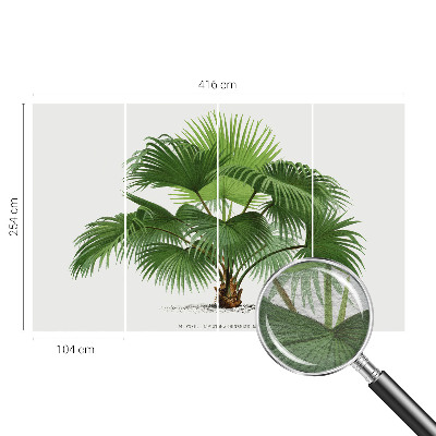 Papier peint panoramique tendance avec un motif de palmier exotique