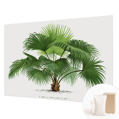 Papier peint panoramique tendance avec un motif de palmier exotique
