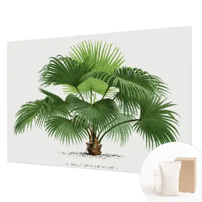 Papier peint intissé imprimé palmier exotique