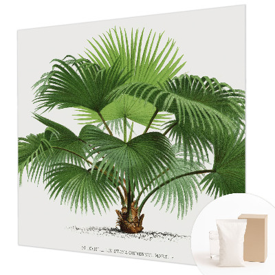 Papier peint panoramique tendance avec un motif de palmier exotique