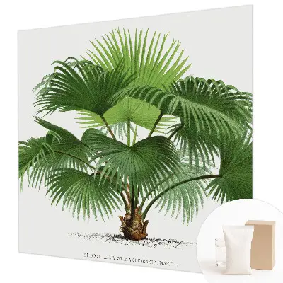 Papier peint intissé imprimé palmier exotique