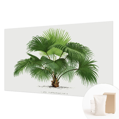 Papier peint panoramique tendance avec un motif de palmier exotique