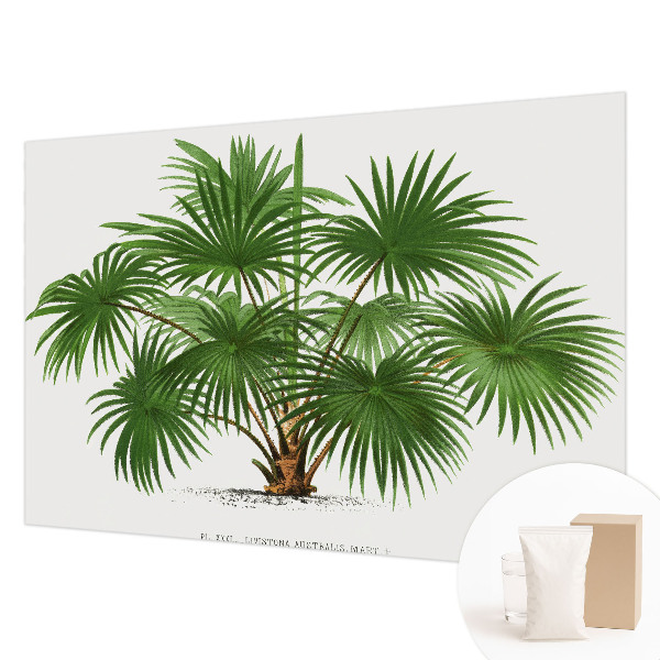 Papier peint panoramique haut de gamme avec un motif exotique