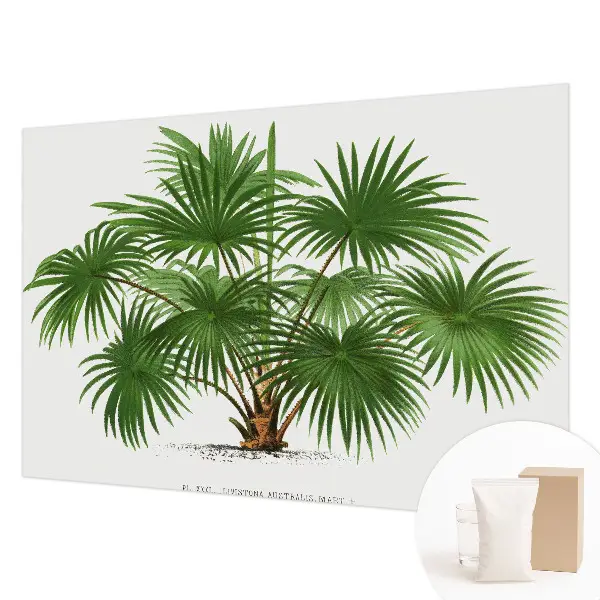 Papier peint intissé Motif exotique