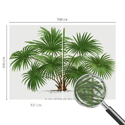 Papier peint panoramique haut de gamme Exotický vzor