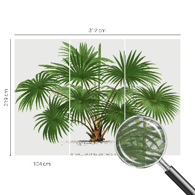 Papier peint panoramique haut de gamme Exotický vzor