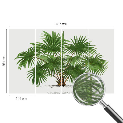 Papier peint panoramique haut de gamme Exotický vzor