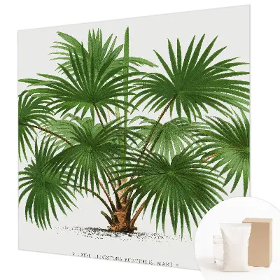 Papier peint intissé Motif exotique