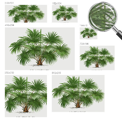 Papier peint panoramique haut de gamme Exotický vzor