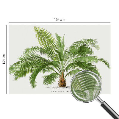 Papier peint panoramique de haute qualité avec un motif de palmier brillant