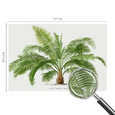 Papier peint photo grand format pour le mur palmier brillant