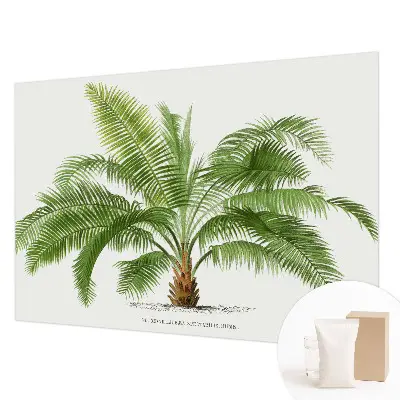 Papier peint photo grand format pour le mur palmier brillant