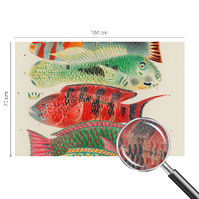 Papier peint panoramique facile à poser avec un motif de poissons exotiques