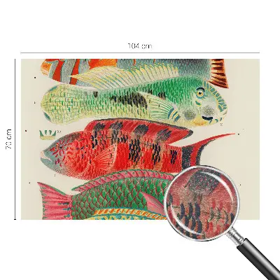 Papier peint photo sur tissu non tissé Poissons exotiques