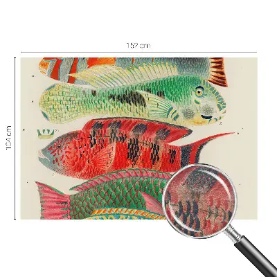 Papier peint photo sur tissu non tissé Poissons exotiques