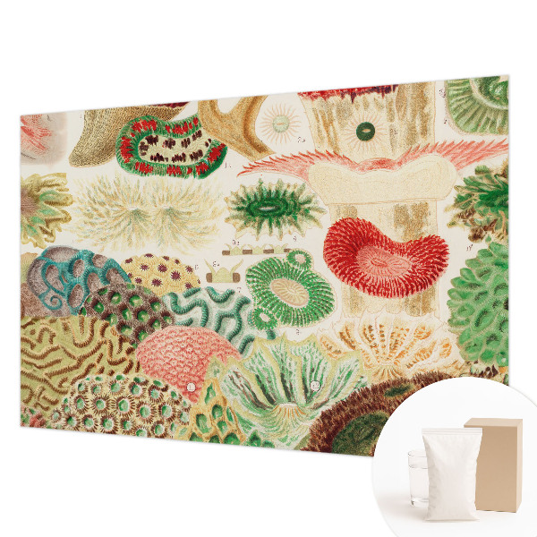 Papier peint panoramique intissé moderne avec des formes organiques