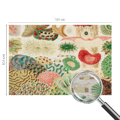 Papier peint panoramique intissé moderne Organické tvary