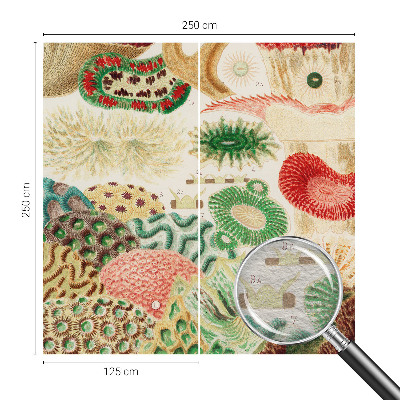 Papier peint panoramique intissé moderne Organické tvary